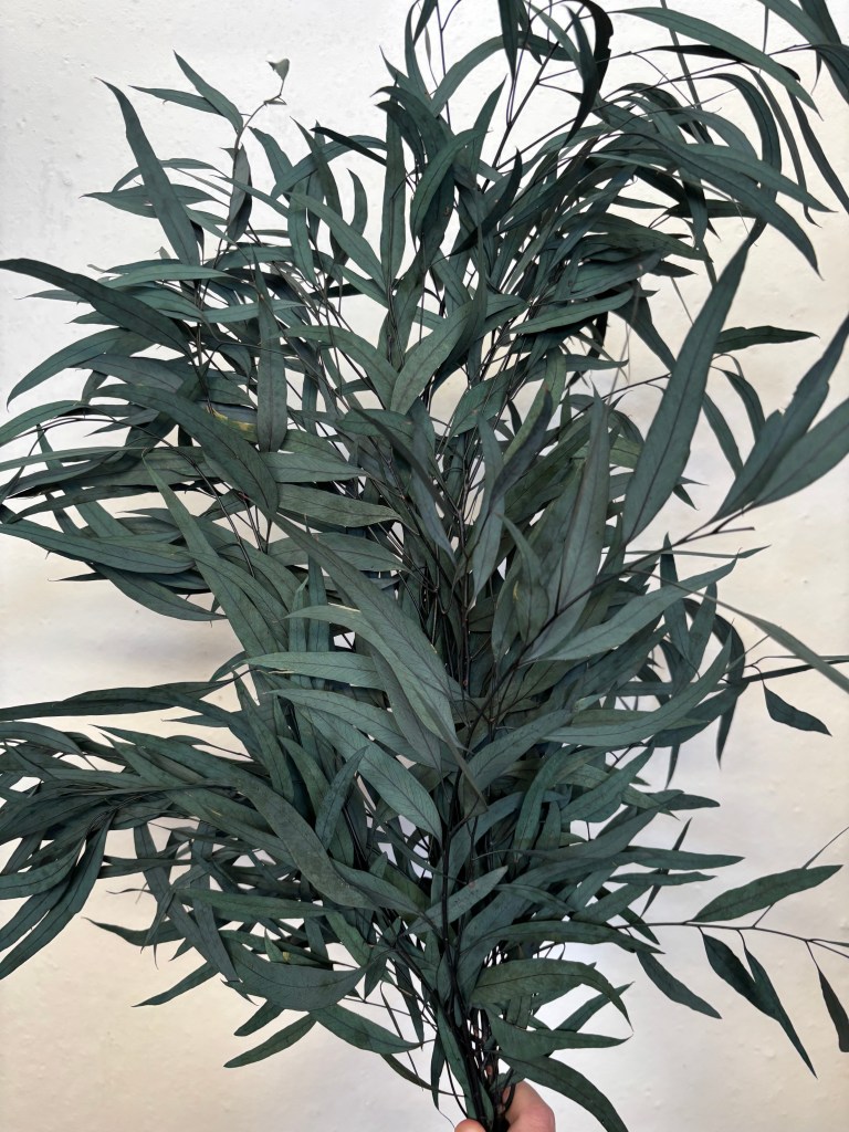 Preserved Eucalyptus Nicholii