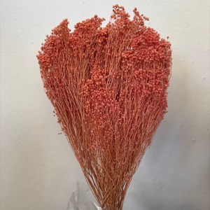 Broom Bloom Light Pink