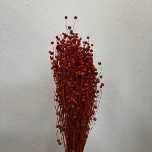Lino Rust