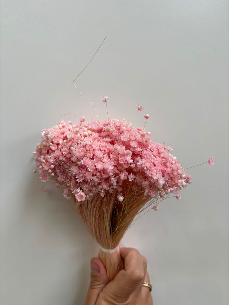 Glixia Light Pink