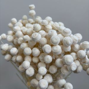 Botao White