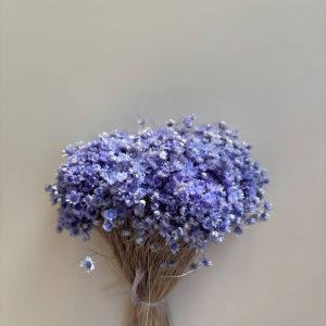 Glixia Lavender