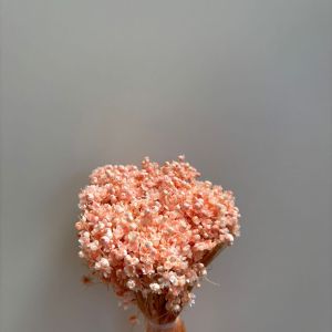 Glixia Light Peach