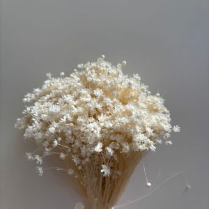 Glixia White