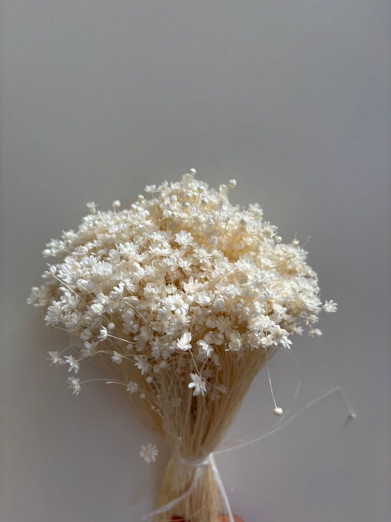 Glixia White